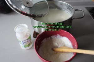 ev yapimi yogurt (2)
