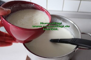 ev yapimi yogurt (3)