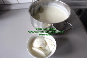ev yapimi yogurt (5)