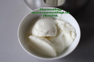 ev yapimi yogurt (7)