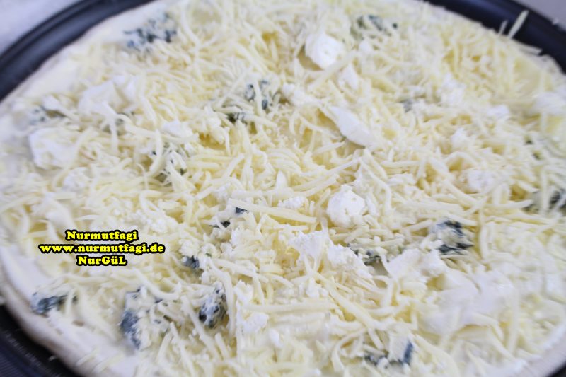 4 peynirli pizza 2 cesit pizza tarifi (1)