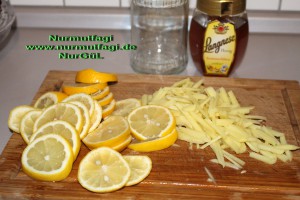 dogal iksir antibiyotik zencefil bal limon tarcin (2)
