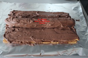 pramit pasta bisküvili frenküzümlü (5)