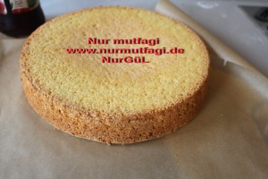 sünger pandispanya (17)