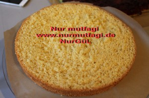 sünger pandispanya (28)