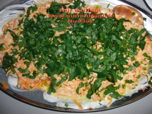 yogurtlu havuc, patlican salatasi  (2)