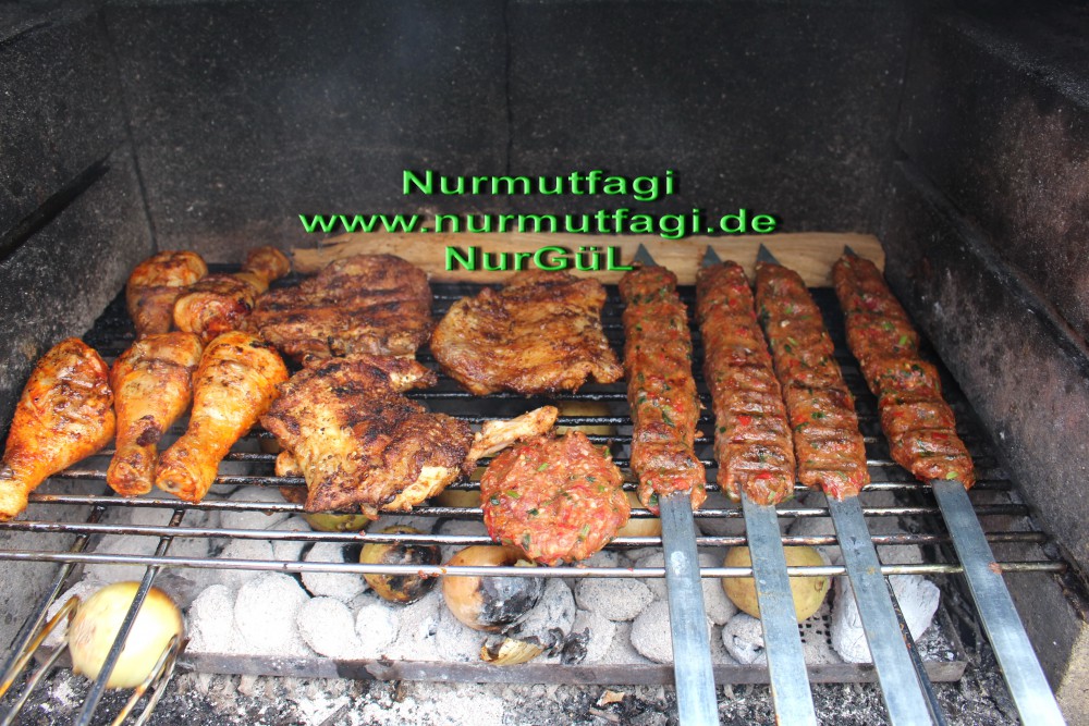 tavuk mangal terbiyesi