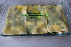 lazanya peynirli su böregi (10)