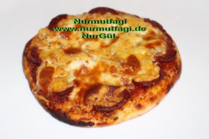 mini pizza salamli, tonbalikli, kiymali (16)