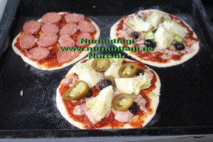 mini pizza salamli, tonbalikli, kiymali (6)