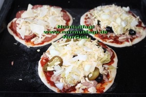 mini pizza salamli, tonbalikli, kiymali (8)