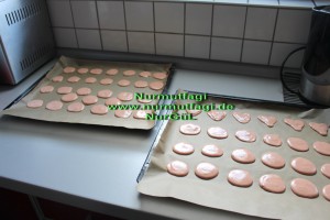 macarons kirmizi (24)