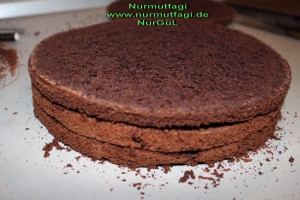 cikolatali pandispanya (13)