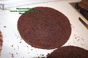 cikolatali pandispanya (9)