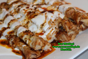 tavuklu sultan kebabi - tavuklu islak sigara böregi (24)