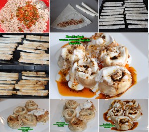 tavuklu sultan kebabi - tavuklu islak sigara böregi (3)