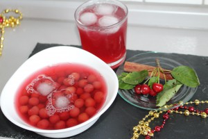 visnesuyu meyve suyu (26)