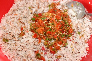 tavuklu sultan kebabi - tavuklu islak sigara böregi (1)
