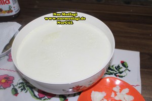 buzlu yogurt ile yogurt nasil mayalanir