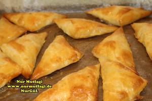 ücgen citir börek - peynirli ücgen börek - nutellali citir börek tarifi  (15)