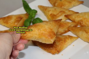 ücgen citir börek - peynirli ücgen börek - nutellali citir börek tarifi  (24)