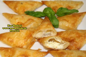 ücgen citir börek - peynirli ücgen börek - nutellali citir börek tarifi  (25)