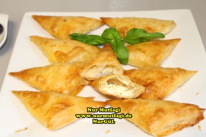 ücgen citir börek - peynirli ücgen börek - nutellali citir börek tarifi  (26)