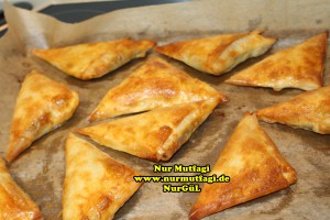 ücgen citir börek - peynirli ücgen börek - nutellali citir börek tarifi  (28)