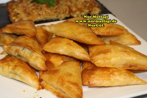 ücgen citir börek - peynirli ücgen börek - nutellali citir börek tarifi  (40)