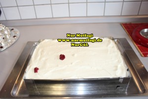 himbeertorte, himbeerschnitte, frambuaz pastasi nasil yapilir tarifi (13)