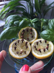 cümbüs sineklerine karsi limon karanfil (2)