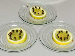 cümbüs sineklerine karsi limon karanfil (3)