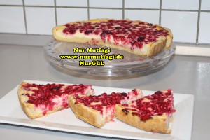 frenk üzümlü cheeschake meyveli cizkek käsekuchen tarifi (13)