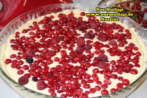 frenk üzümlü cheeschake meyveli cizkek käsekuchen tarifi (3)