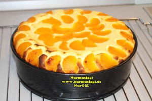 mandalina-kasekuchen-cizkek-tarifi-15