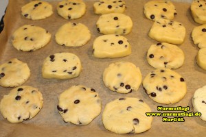 cookies-kurabiye-yilbasi-kurabiyesi-ausstechplatzchen-weihnachtsplatzchen-19