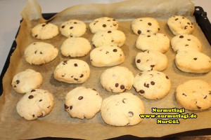 cookies-kurabiye-yilbasi-kurabiyesi-ausstechplatzchen-weihnachtsplatzchen-20