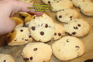 cookies-kurabiye-yilbasi-kurabiyesi-ausstechplatzchen-weihnachtsplatzchen-22