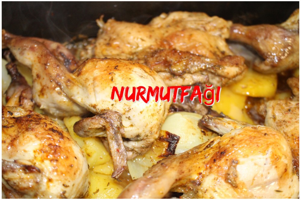 Silex tavada Bıldırcın kızartma tarifi Nur Mutfağı