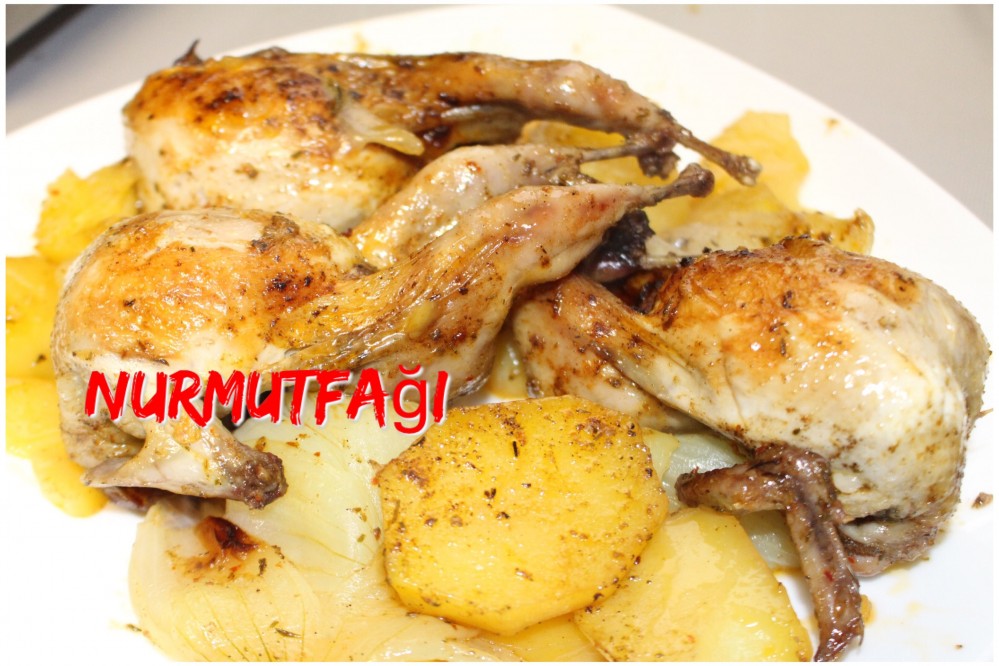 Silex tavada Bıldırcın kızartma tarifi Nur Mutfağı