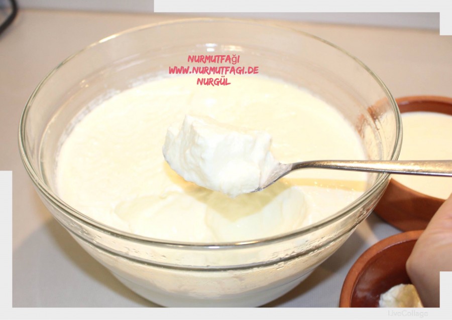 firinda yogurt nasil mayalanir, evde kaymakli yogurt tarifi
