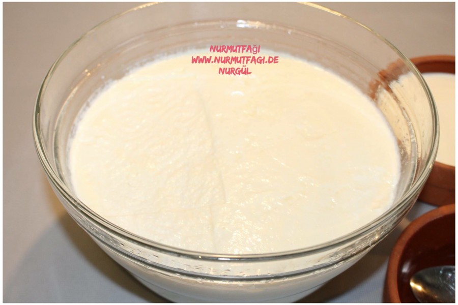 firinda yogurt nasil mayalanir, evde kaymakli yogurt tarifi