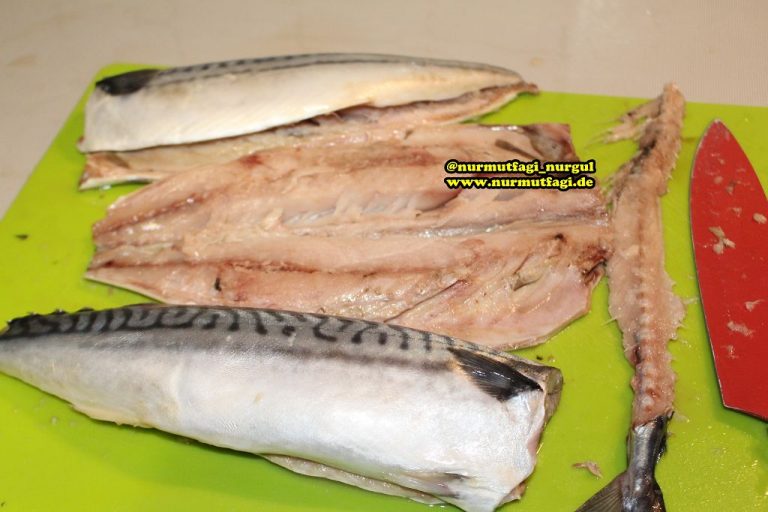 Uskumru Baligi nasil file halinde cikartilir? Uskumru Balik nasil