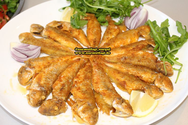 BARBUN BALIGI TARIIF (6)