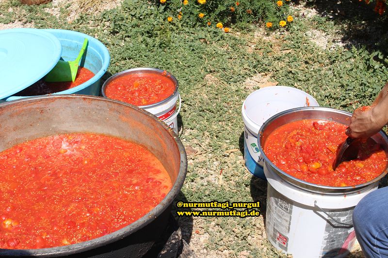 DOMATES SALCASI NASIL YAPILIR TARIFI; EV USULÜ DOMATES SALCASI TÜRKIYE